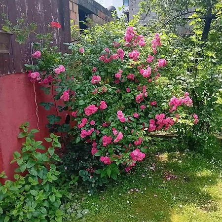 Smestaj Vesna Apartment *